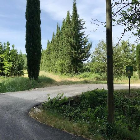 Villa Le Jardin D'Erables St Remy 7 Ha Piscine/Clim Paluds de Noves Exterior foto